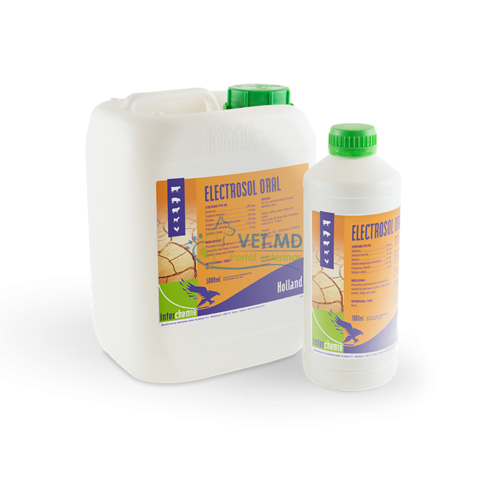 Electrosol oral 1000ml